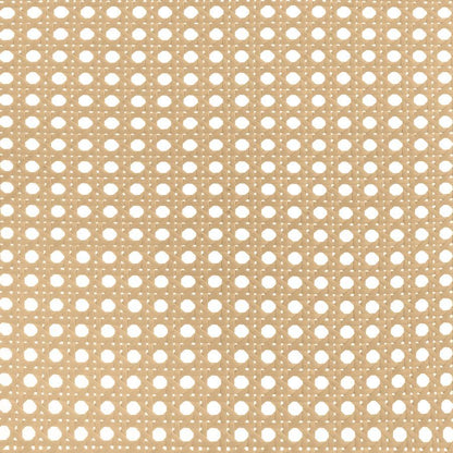 Lanewood - Open Cane Rattan Metal Bed