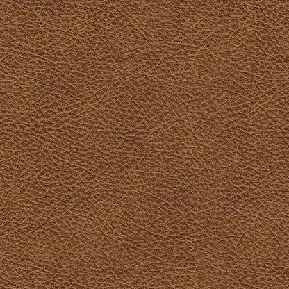 Carianna - Caramel - Loveseat
