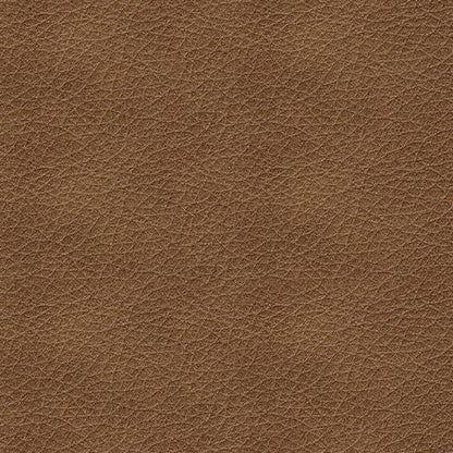 Bolsena - Caramel - Queen Sofa Sleeper