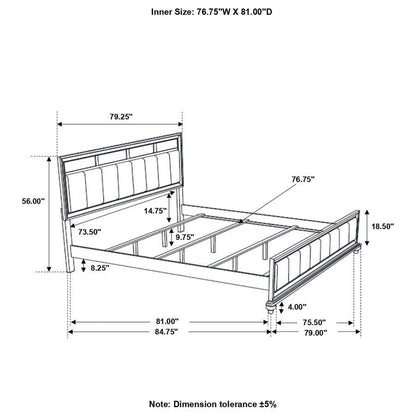 Barzini - Upholstered Panel Bed