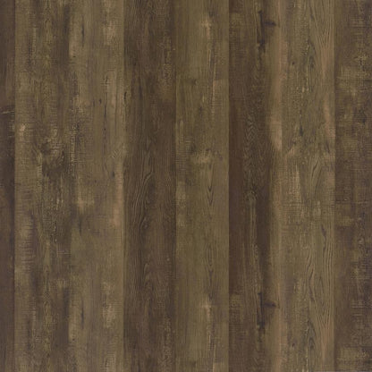 Carolyn - 2 Door Engineered Accent Wood Cabinet - Rustic Oak