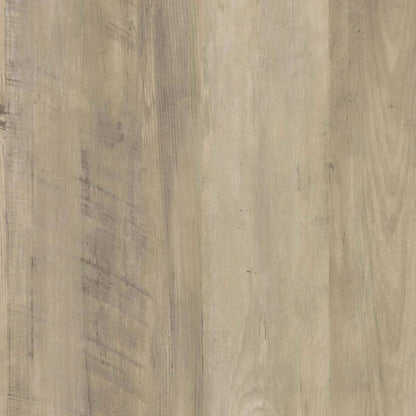Maeve - 2 Door Engineered Wood Cabinet - Antique Pine And Gray