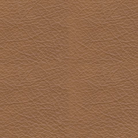 Tryanny - Butterscotch - Power Reclining Sofa With Adj Headrest